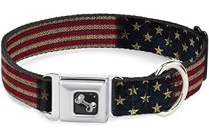 Buckle-Down Seatbelt Buckle Dog Collar - Vintage US Flag