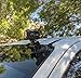 Panavise 13150 ActionGrip 3-In-1 Suction Cup Camera Mount Kit (Matte Black)