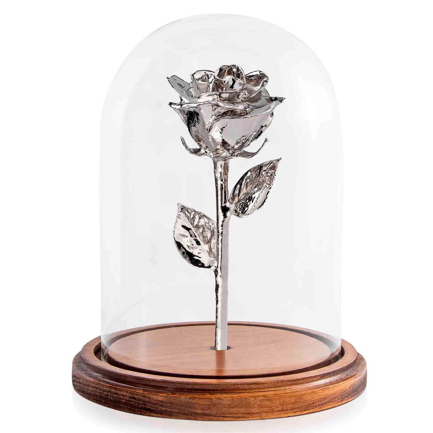Amazon.com: Enchanted Forever Rose | Preserved with Real Platinum Rose ...