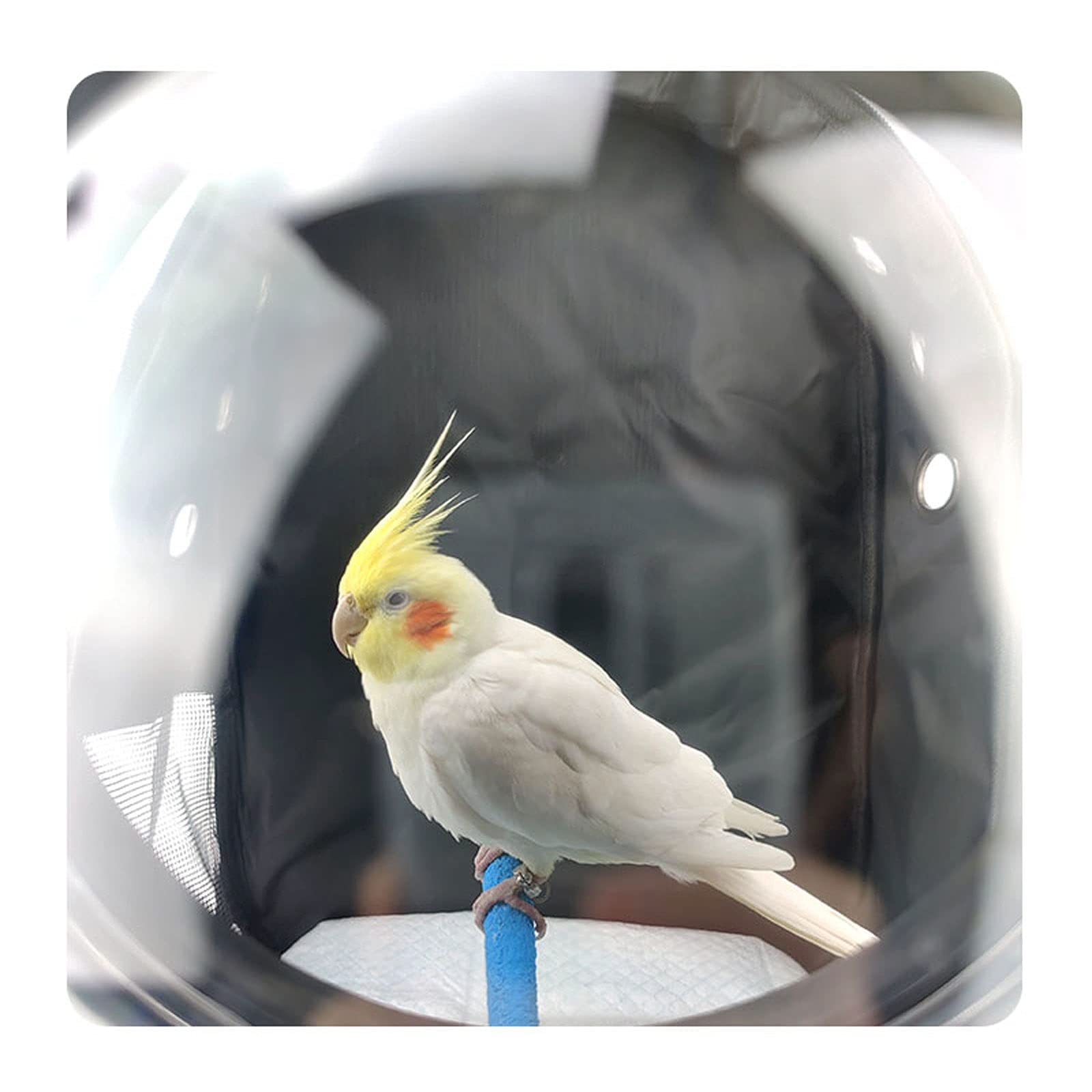 Zaino per animali domestici con ruote, design a capsula spaziale, finestra panoramica trasparente, resistente e confortevole per gatti, ideale per viaggi e avventure