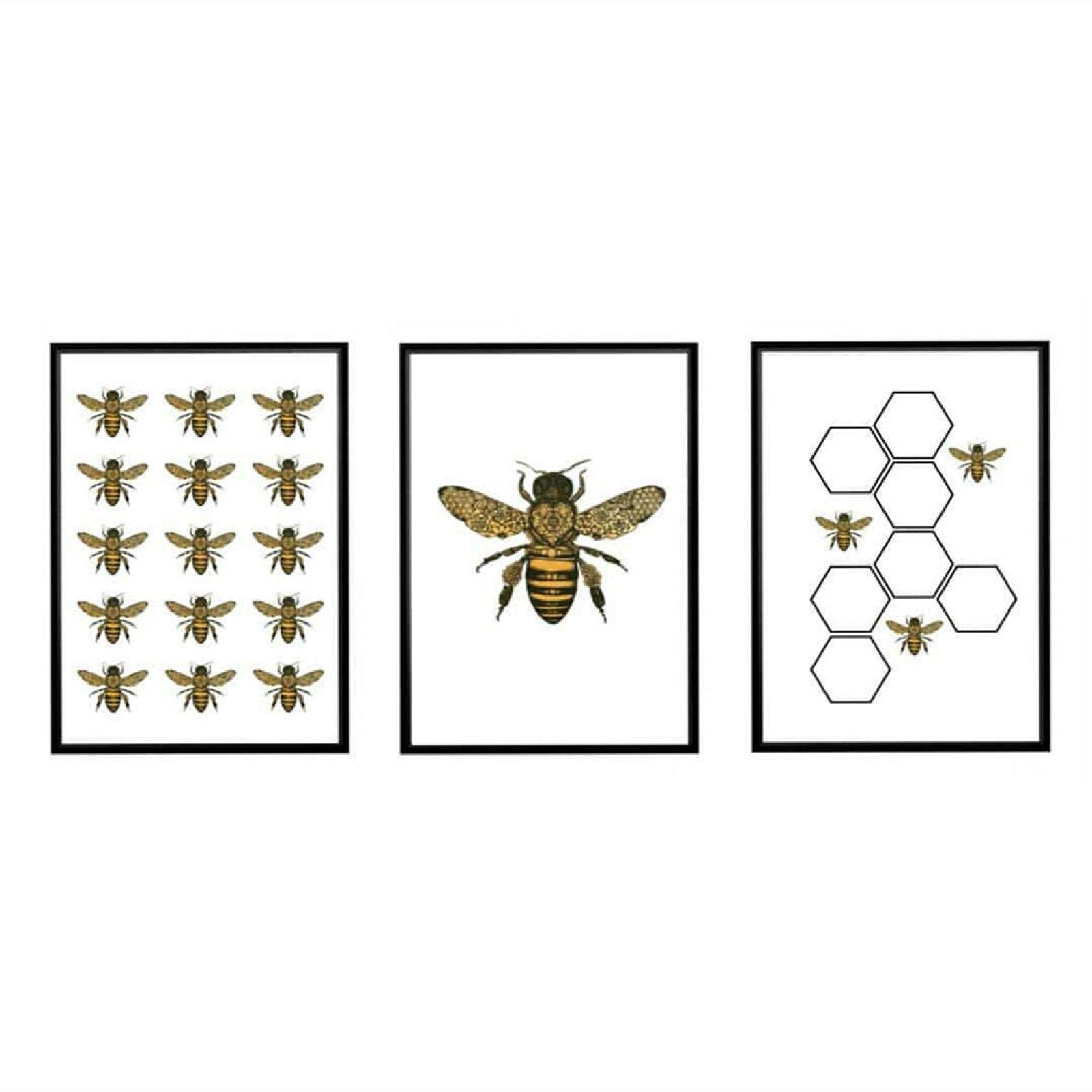 Déco salon chaleureuse : triptyque art mural insecte rétro sans cadre 60x80 - 8