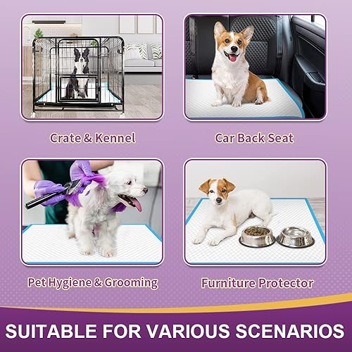 Miniatura 7 de IMMCUTE Almohadillas extragrandes para orina de perro de 36 x 36 pulgadas, 30 unidades, almohadillas de entrenamiento para orina de cachorros, súper