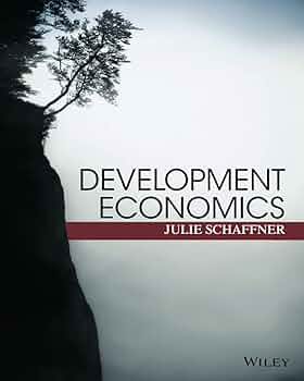 Development Economics: Theory, Empirical Research, and