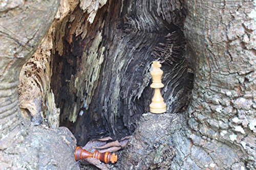 White to Move and Mate: An Anthology of the Greats' Checkmates
