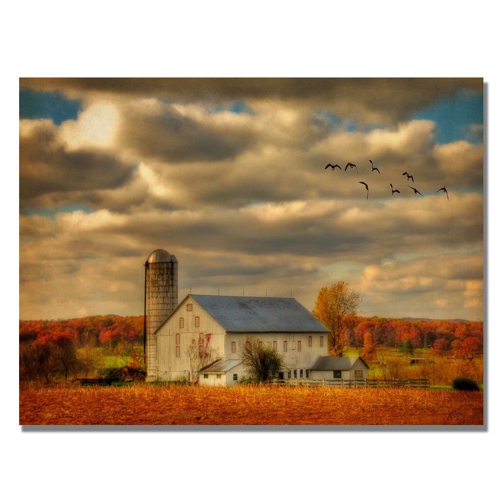Trademark Fine Art Family Farm II Framed Canvas Art by Lois Bryan 18 by 24-Inch