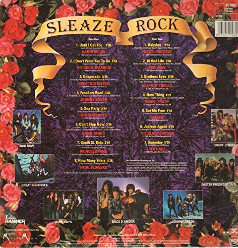 Sleaze Rock   Smash It
