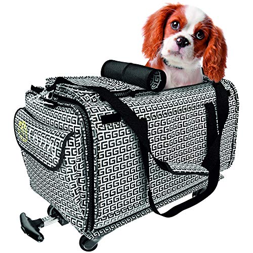 Premium Airline Approved Pet Carrier - Compact Pet Carrier with Wheels - Easy