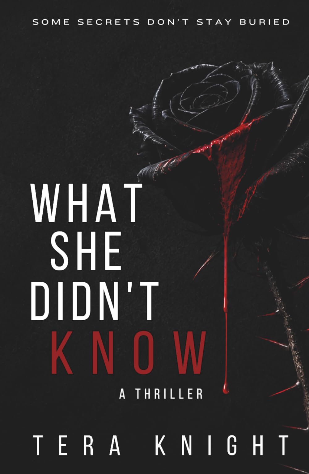 What She Didn't Know: Some Secrets Don't Stay Buried