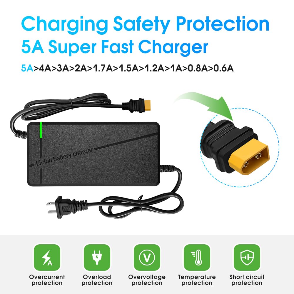 Cargador de 67.2V5A con Enchufe 6 en 1 para batería de Litio de 60 V como Coche, camión, cortacésped, Barco, baterías Marinas (Enchufe XT60/XT90)