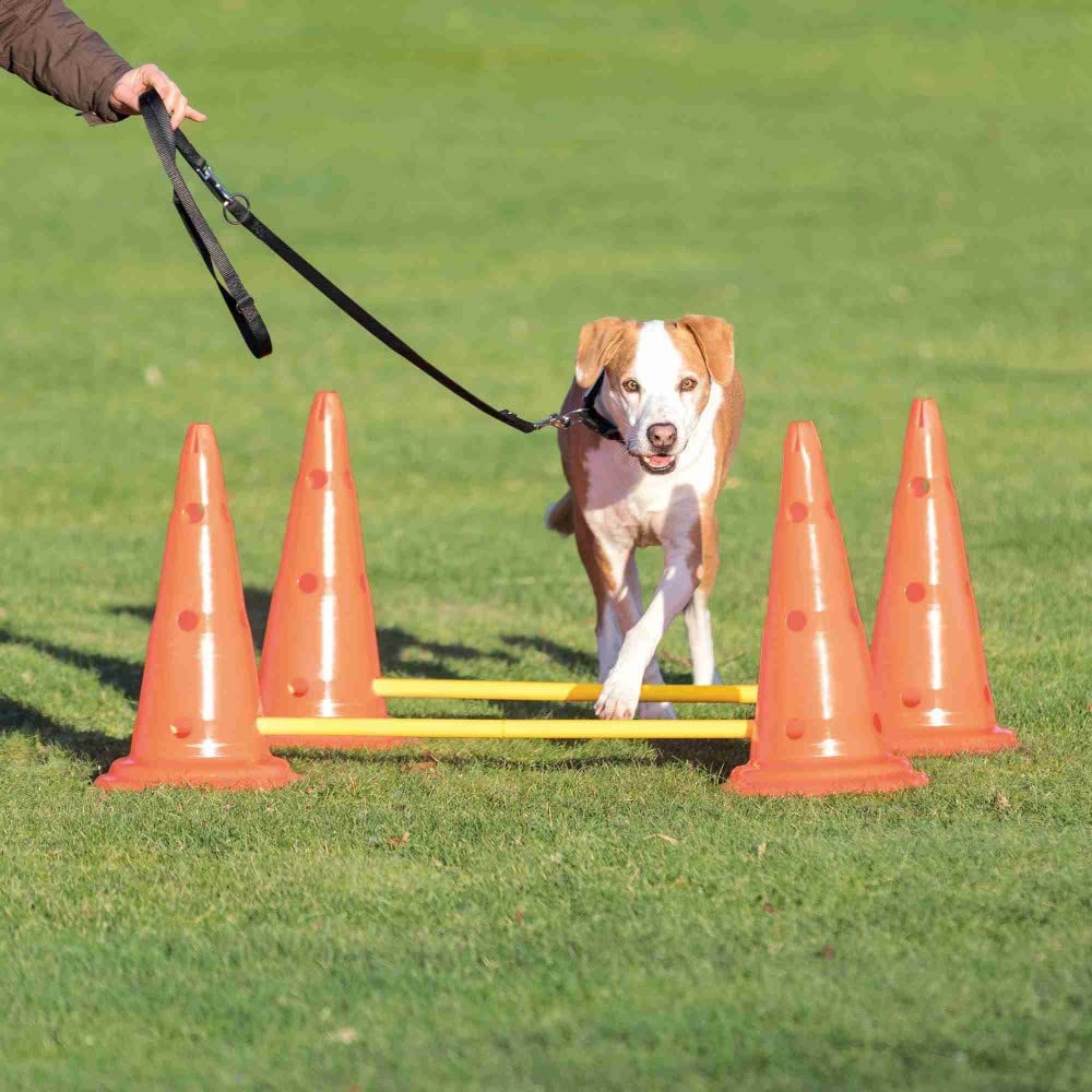 TRIXIE Set de Obstáculos para Perros