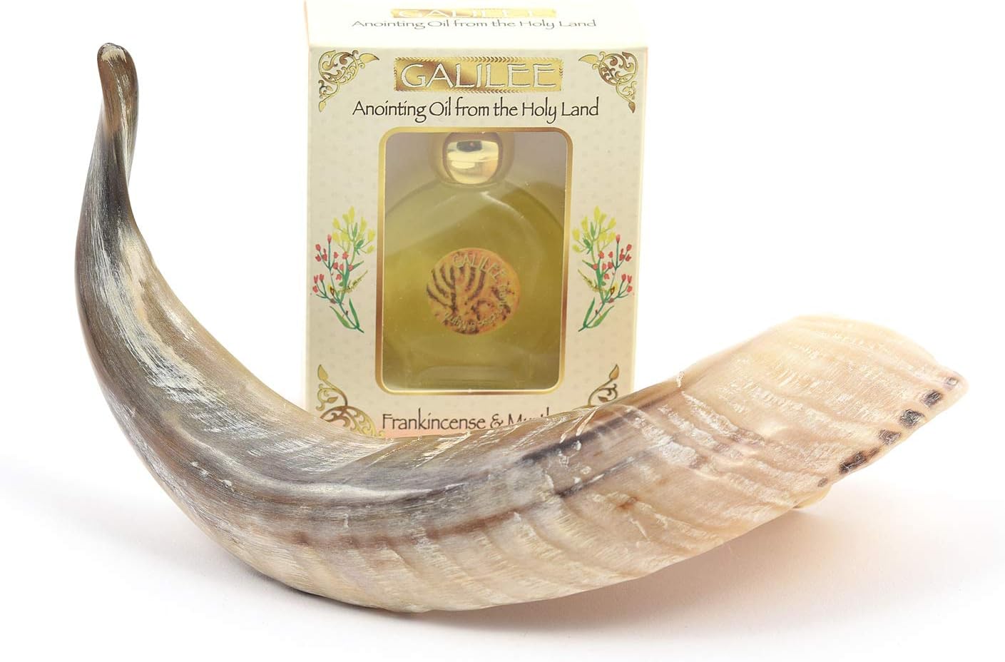 Anointing Shofar Made of Natural Ram's Horn (not for blowing) + Galilee Anointing Oil Frankincense and Myrrh
