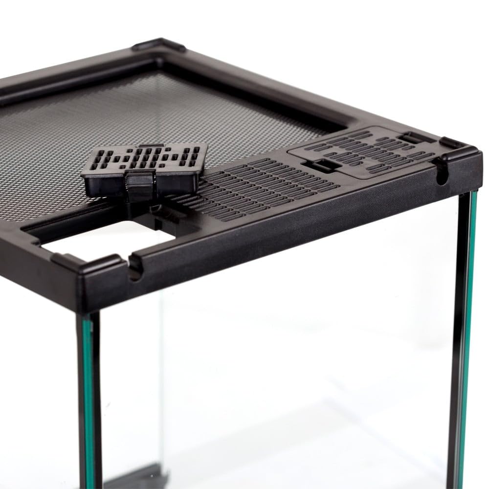Repti-Zoo Terrario 21 x 21 x 30 cm – Terrario in vetro per rettili, anfibi, aracnidi e insetti