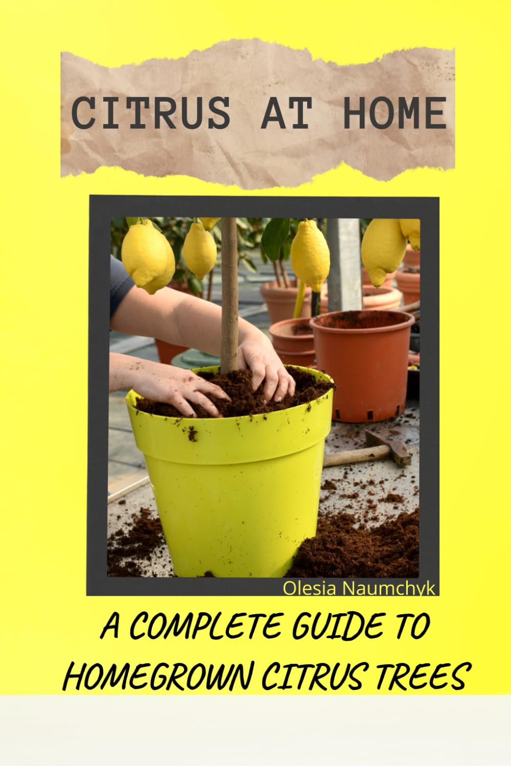Citrus at Home: A Complete Guide to Homegrown Citrus Trees