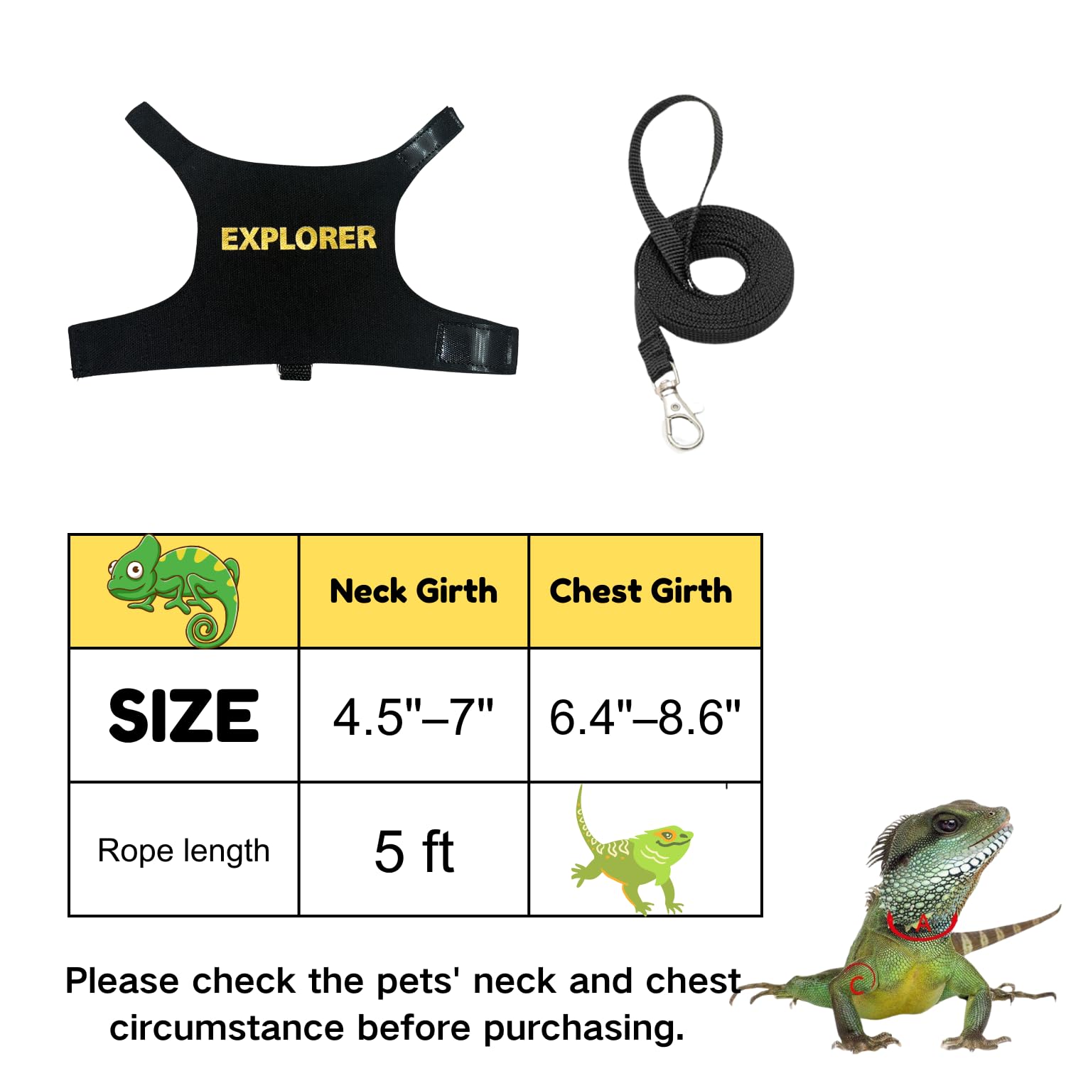 https://m.media-amazon.com/images/I/61kJyYbJJlL.jpg