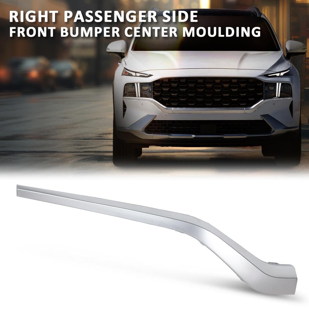 Amazon.com: G-PLUS Front Bumper Center Molding Trim Right