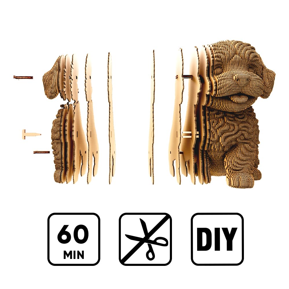 Perro Maltipoo Puzzle 3D de Cartón – Maqueta para Montar