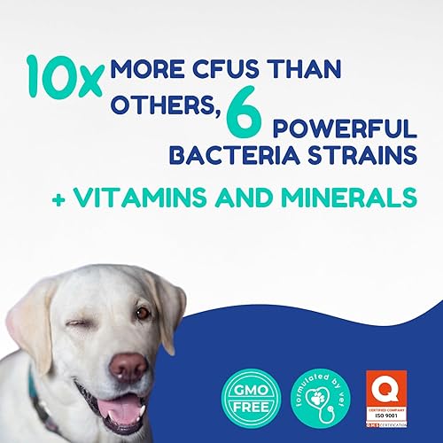 Miniatura 6 de Ol Nelly Pasta probiótica prebiótica y probiótica para perros, 6 cepas de bacterias, 18 bi UFC + vitaminas, minerales, fórmula mejorada para