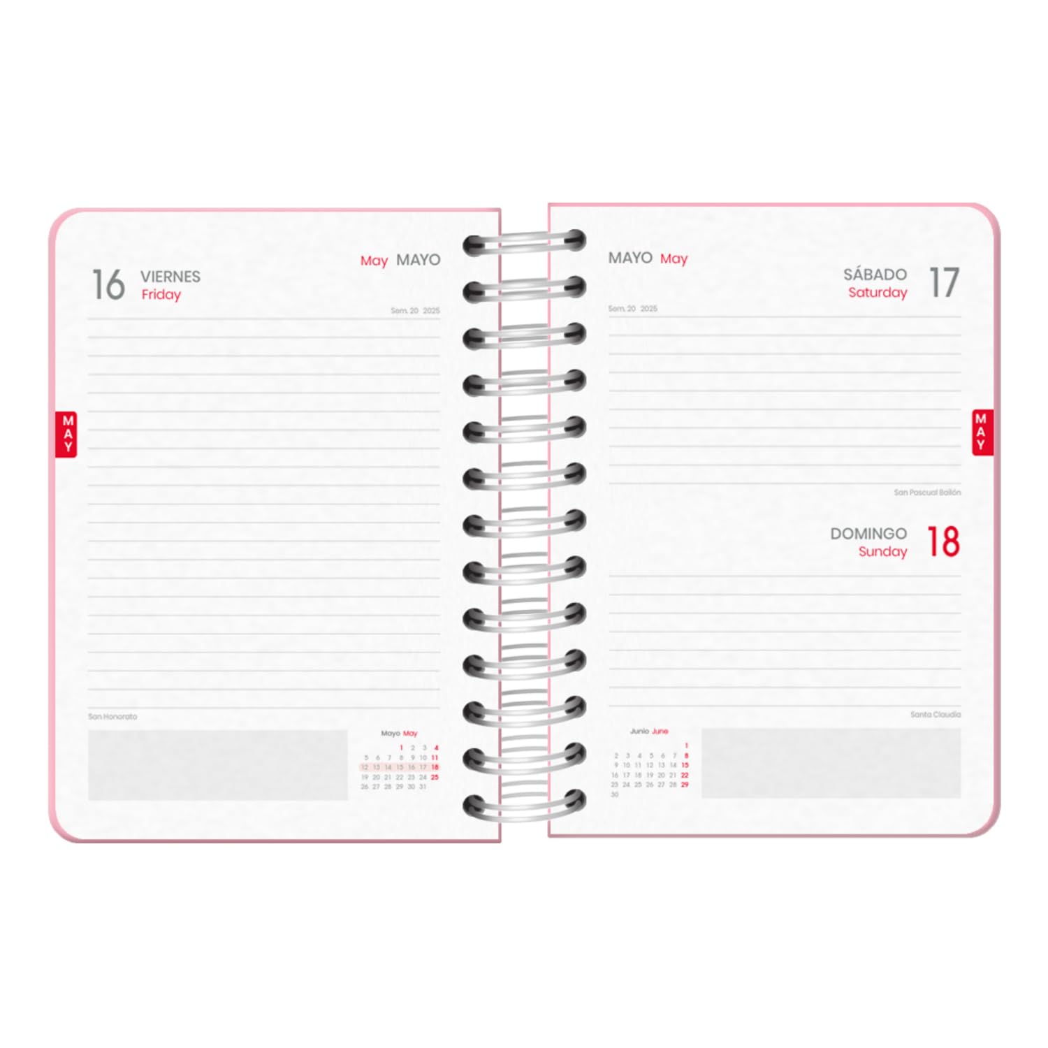 DOHE, School Diary 2024 2025, Day Page, Size A6 (12 x 17 cm), Ring Closure and Rubber, Spanish and English, 4 Sticker Pages - Image 2