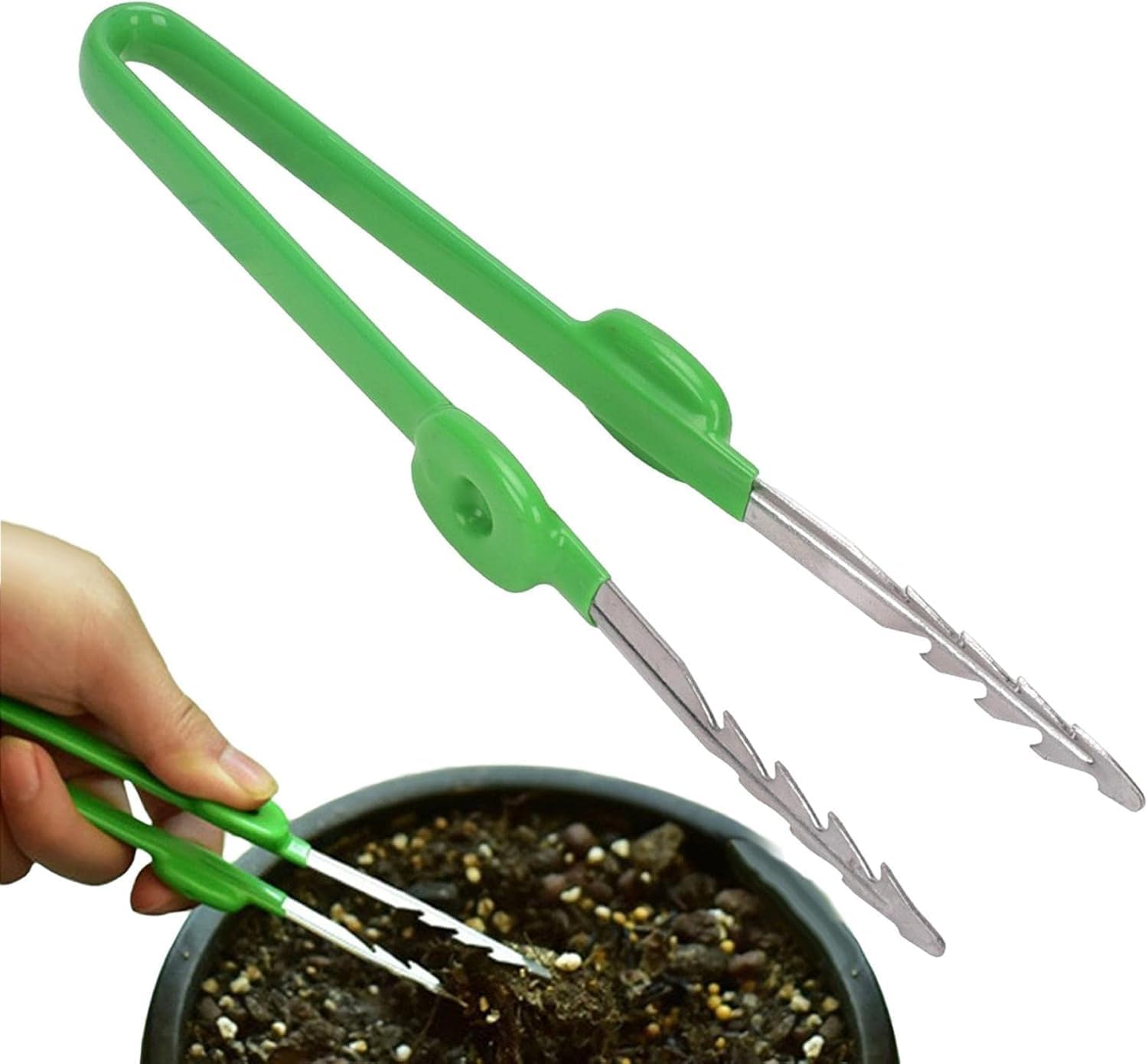 Pinzette da Giardino Professionali in Acciaio Inox Pinza a Punta Dritta Seghettata per Piante Succulente Cactus e Bonsai Strumento di Precisione Portatile per Trapianto e Cura Piante