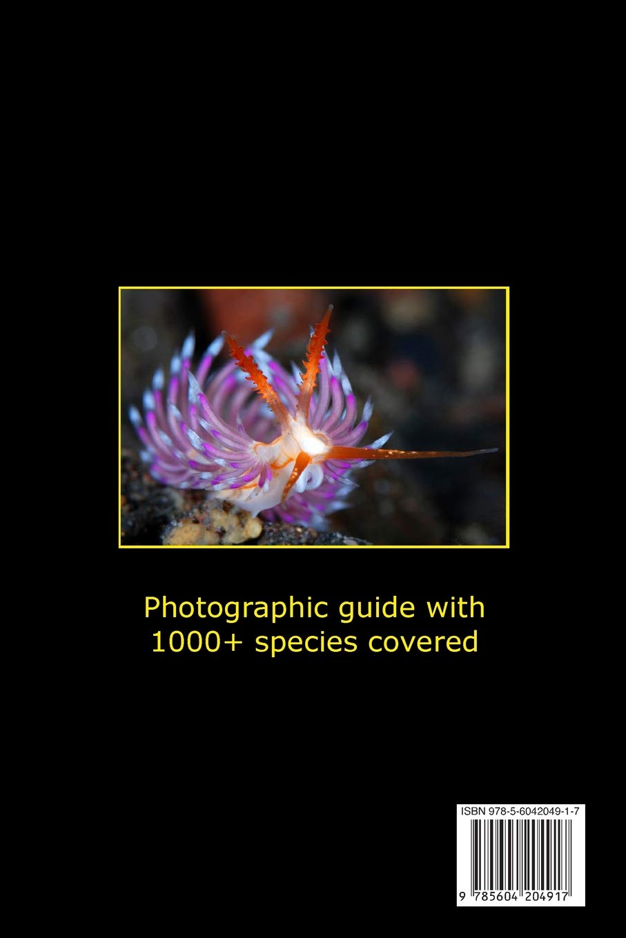 Nudibranchs of the Coral Triangle: Reef ID Books      Paperback – April 12, 2019