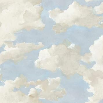 York Wallcoverings Clouds on Canvas Premium Peel and Stick Wallpaper