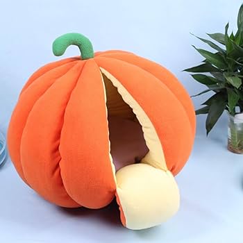 かぼちゃねこ様へ 赤い坊ちゃんかぼちゃのせ猫 210924 - YouTube