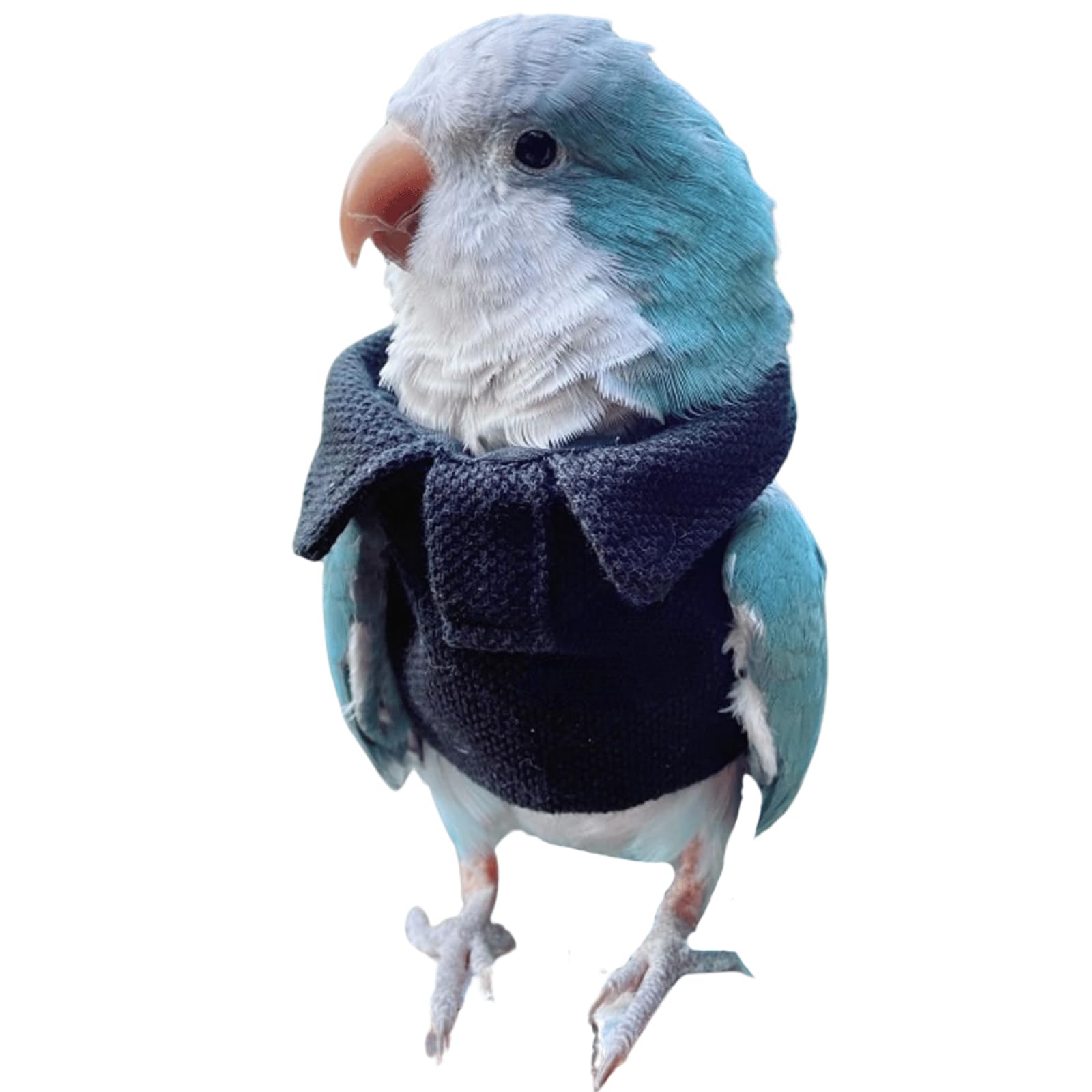 CXYYXF Bird Costume Bird Diaper Flight Suit Bird Navy Top Bird Clothes Cosplay Photo Prop for Parrots Lovebird Parakeet Cockatiel Small Animals Apparel (with Diaper,XL)