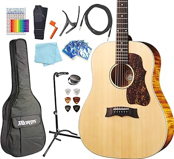 Amazon | モーリス エレアコ MORRIS G-021E 初心者 入門 13点 セット