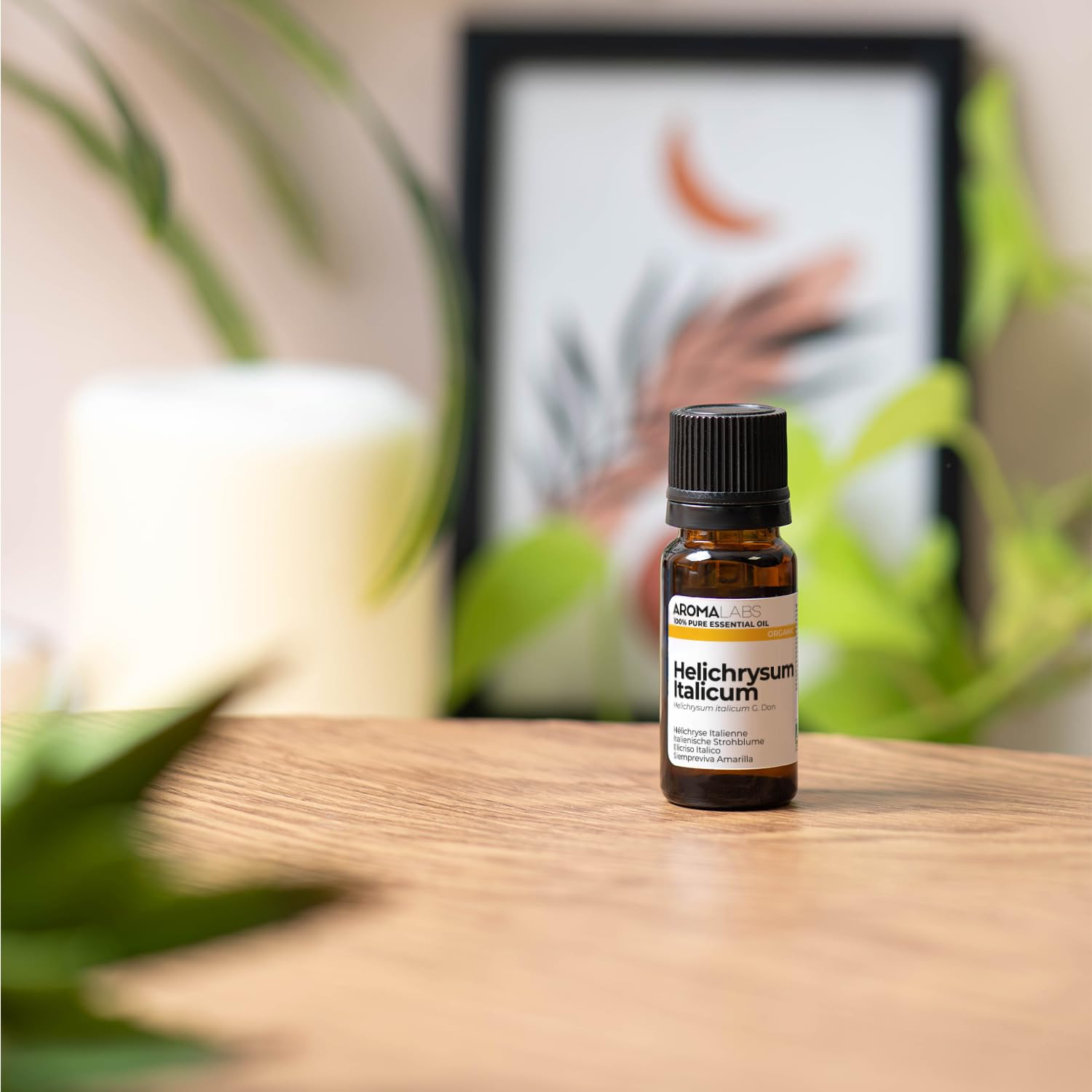 Hélichryse Italienne BIO (Helichrysum italicum - subsp. italicum) - 10 mL - Huile Essentielle Chémotypée et Certifiée AB - Aroma Labs - Made in France