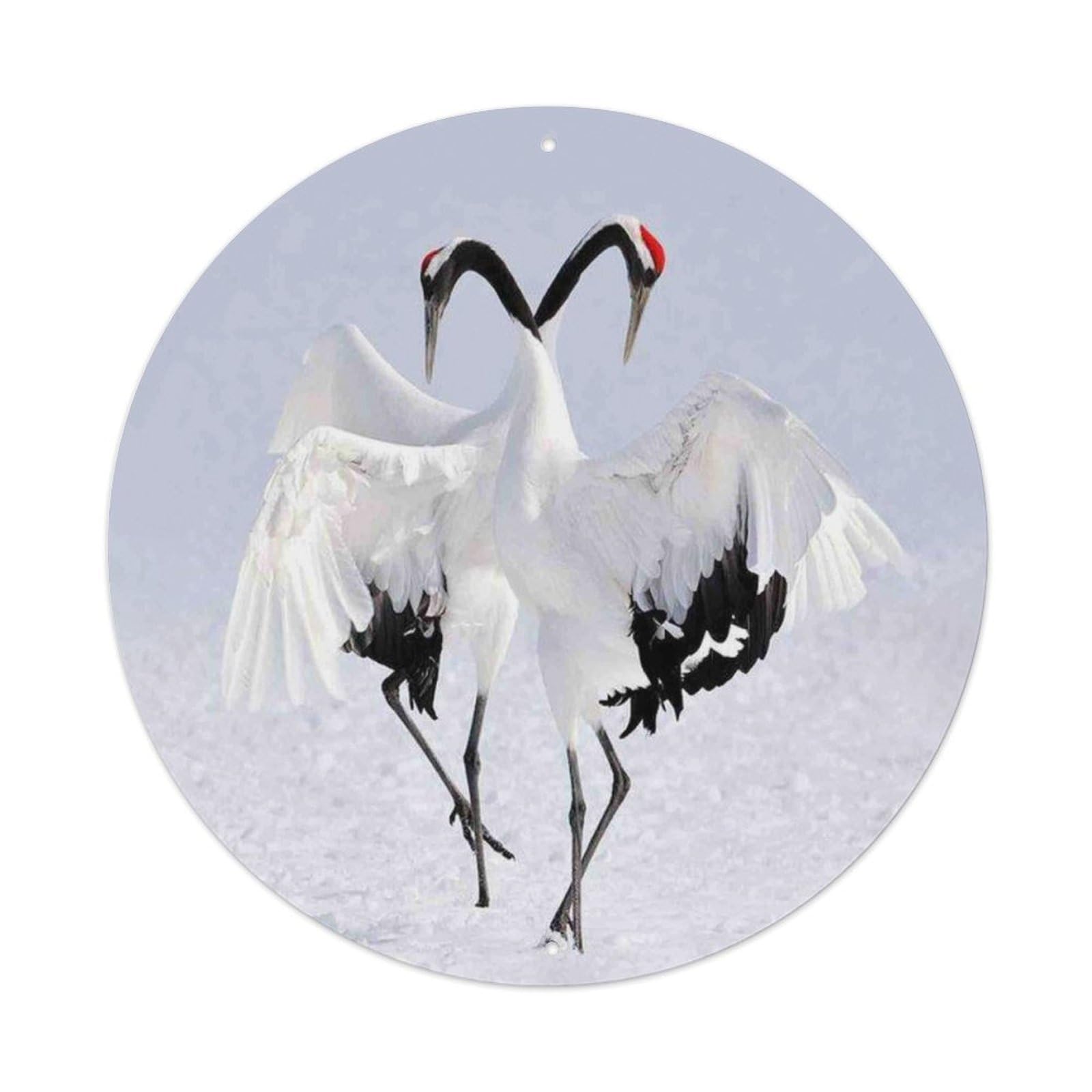Red Crowned Crane Bird Wildlife Vintage Illustration Metal Tin Sign