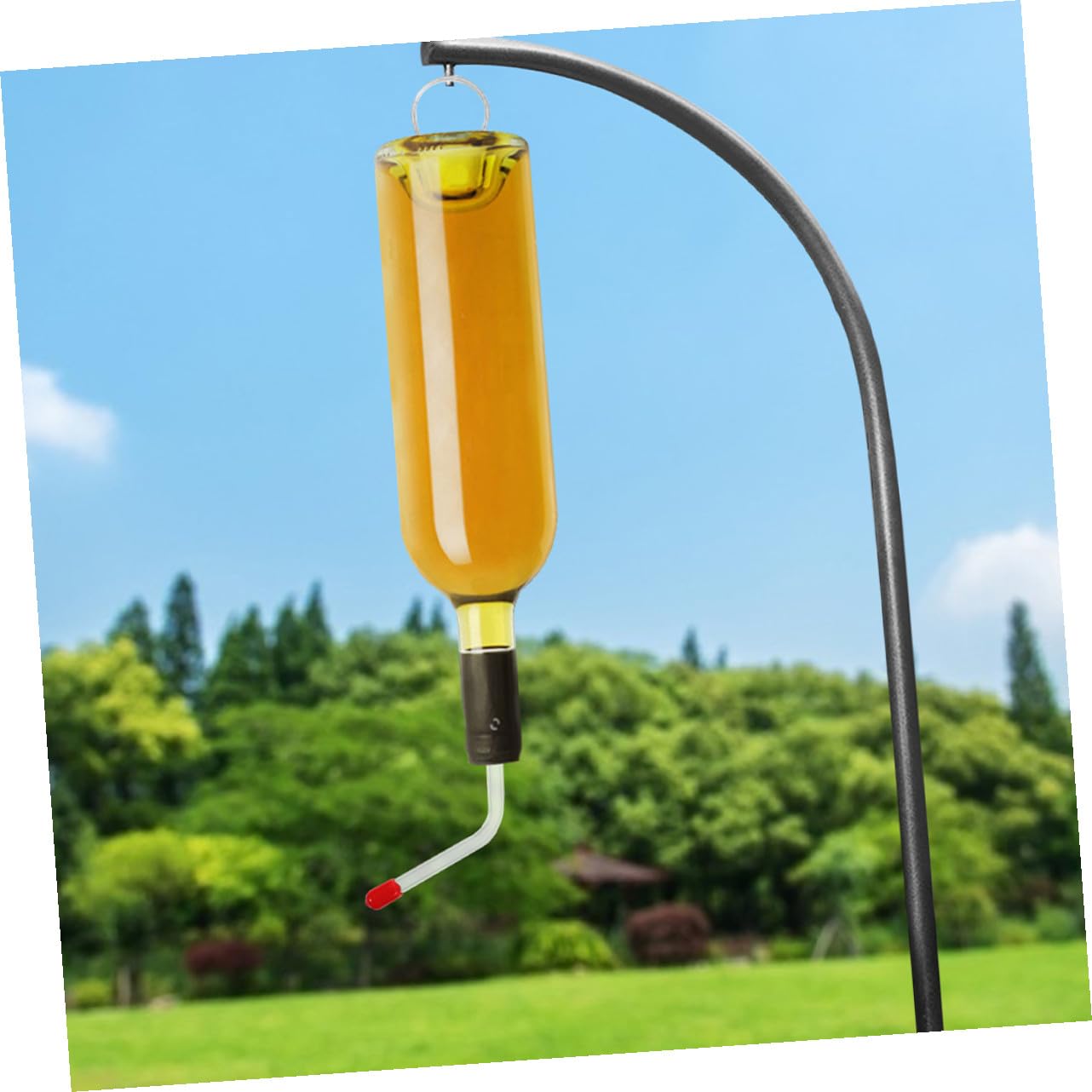 Yardwe 5 Juegos 5 Juegos De Comedero De Agua para Colibríes Comedero para Colibríes Comedero para Pájaros En El Patio Manguera De Agua para Pájaros Comederos para 2 Piezas * 5