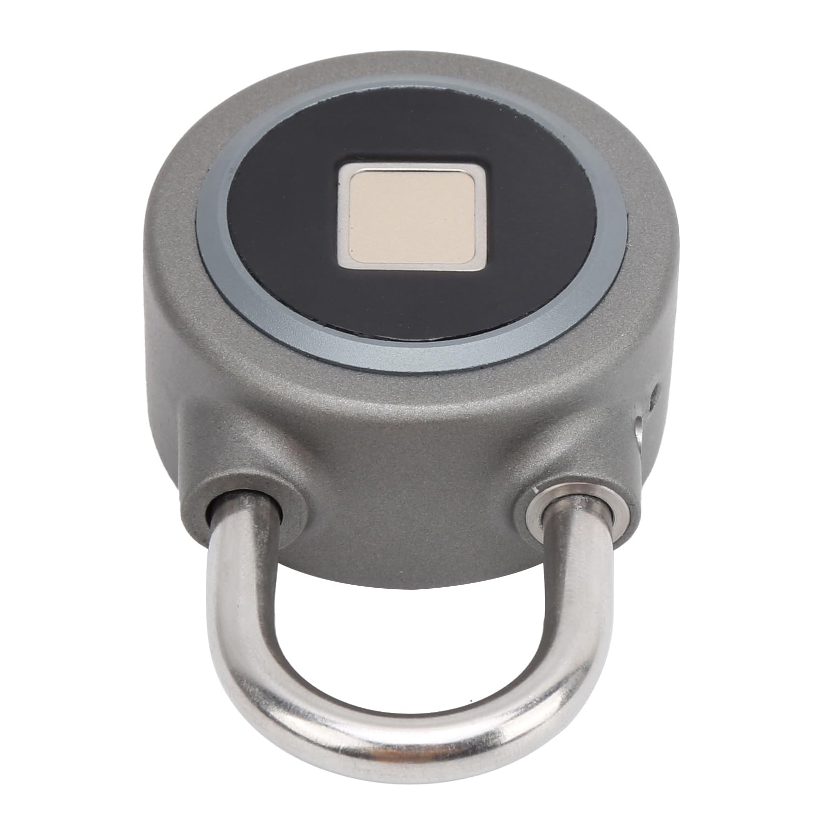 Cerradura Portátil con Huella Dactilar - Candado sin Llave con Acceso Remoto, IP65, para Bolsos, Cajones, Maletas, Gris Claro (gris claro)