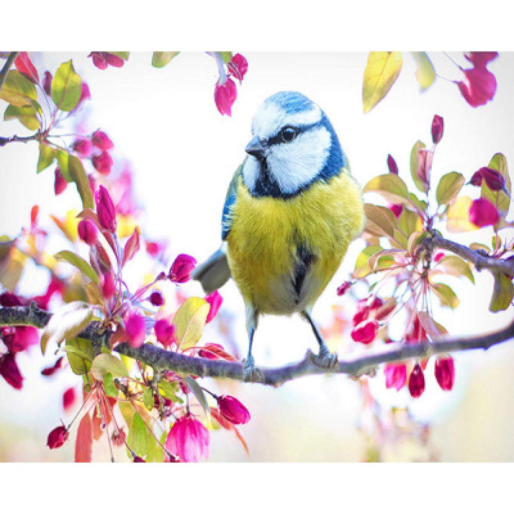 Peinture de résine de diamant plein oiseaux rouges et broderie haut de gamme