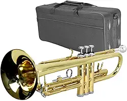 Trompete Laqueado Afinação Bb Si Bemol com Case
