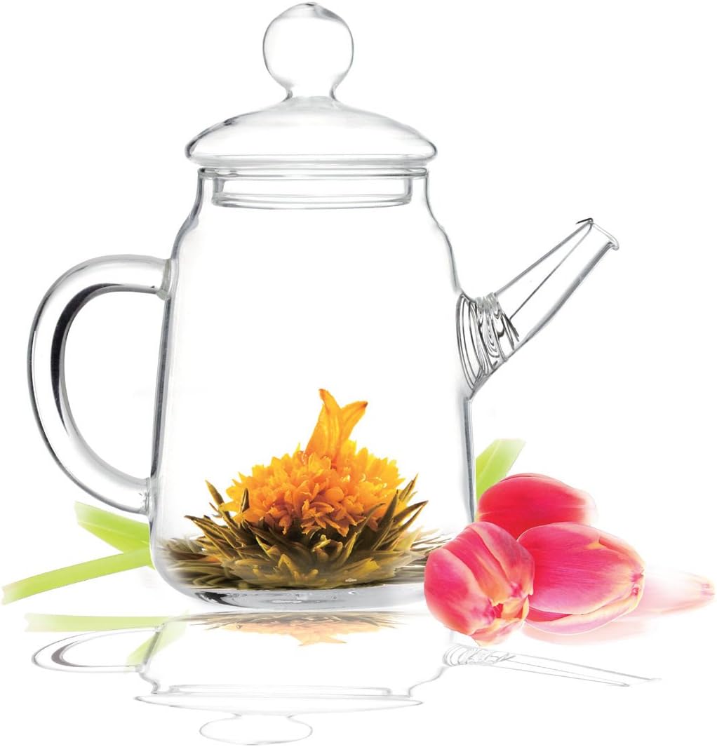 Tea Beyond Glass Teapot SOLOSet of 8 No Dripping 12 oz