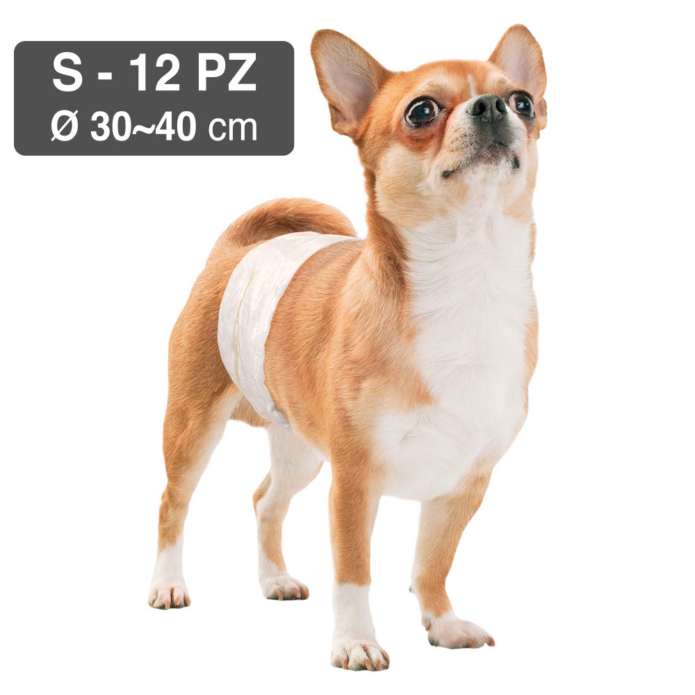 Croci Dog Nappy - Fascia Assorbente per cani maschi, taglia S - Ø 30-40 cm, Mutanda pannolino igienico pipi cane, Antiodore, Usa e getta, Chiusura adesiva regolabile, 12 pz