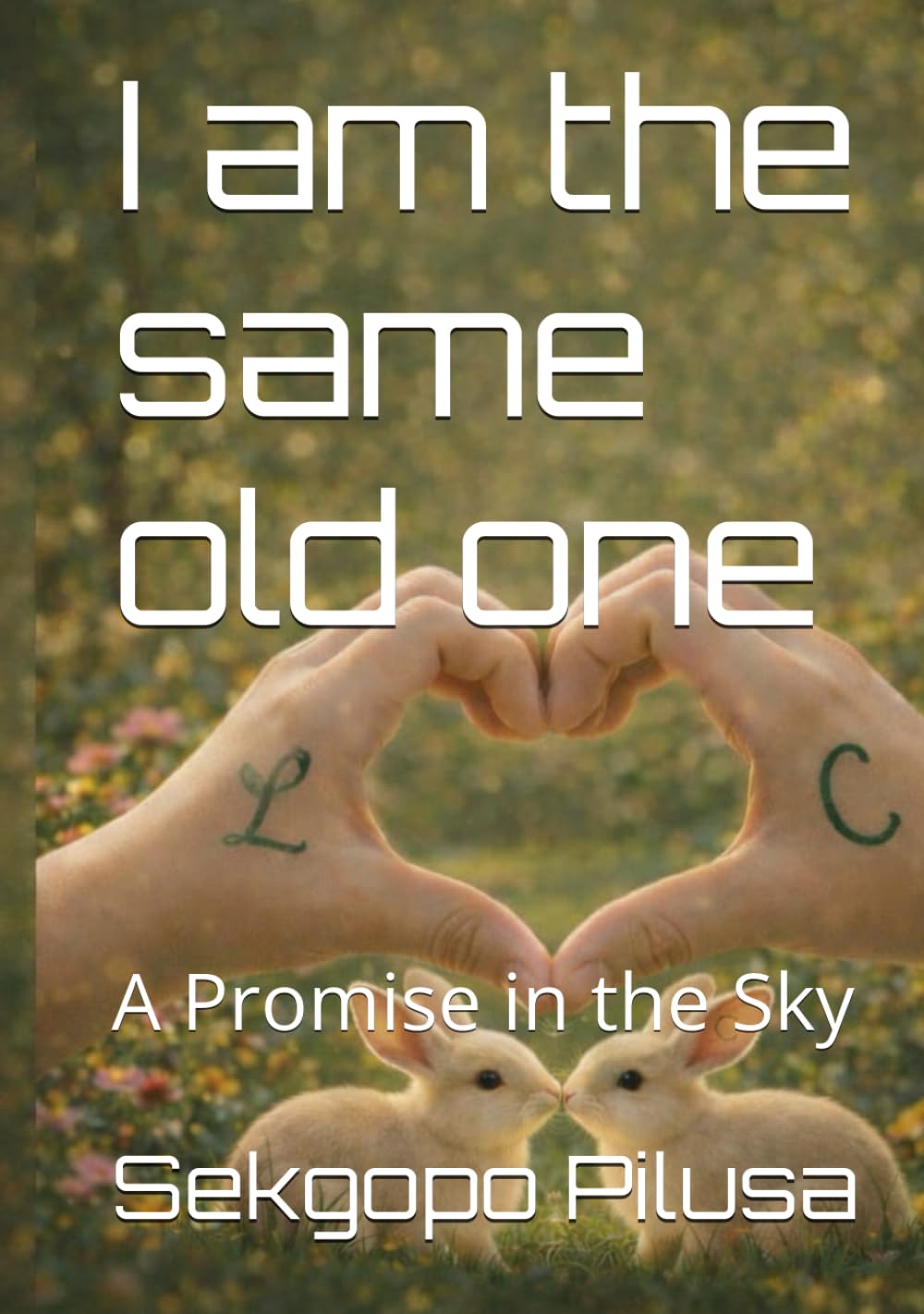 I am the same old one: A Promise in the Sky