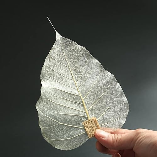 Miniatura 8 de Hemoton Infusor de té en forma de hoja, filtro de té Kung Fu, filtro de té de hojas sueltas para ceremonia de té de Kongfu chino, colador de acero