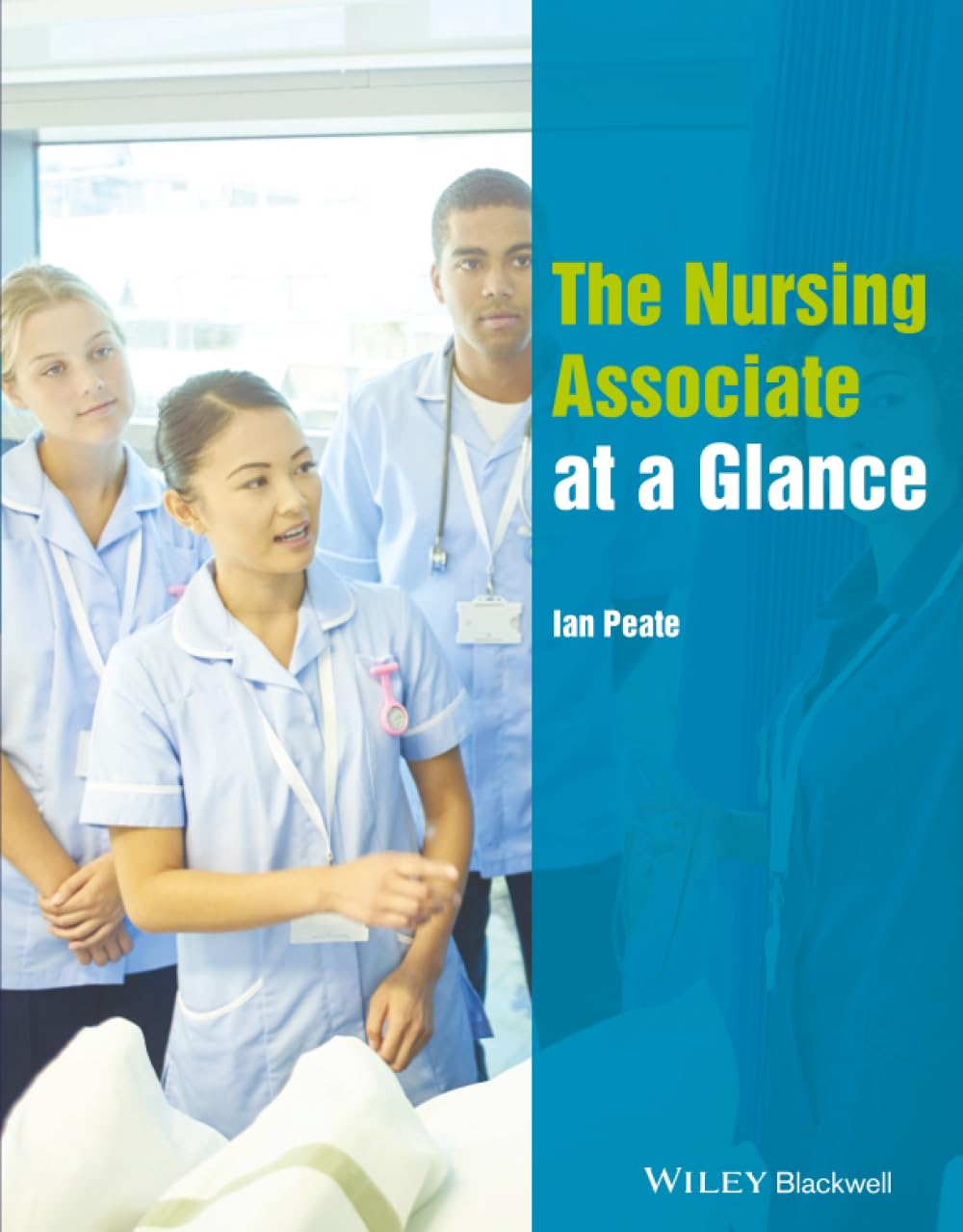 The Nursing Associate at a Glance (At a Glance (Nursing and Healthcare))