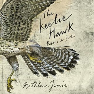 The Keelie Hawk Audiobook By Kathleen Jamie cover art