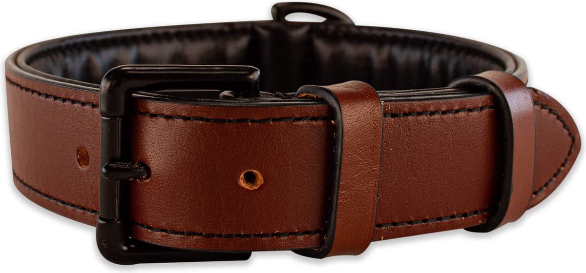 Brute Strength Collar Perro Marrón, Costuras Negras XXL · 66–73 x 3,5 cm