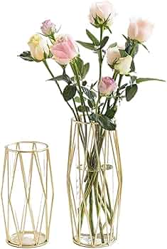 61kKxxOO0zL._AC_UF350,