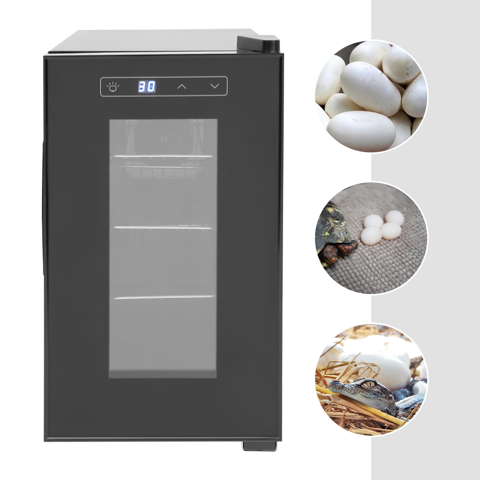 Reptiles Huevo Incubadora 23L 10-40°C LED Pantalla táctil Aire Refrigeración para Tortugas Lagartos Serpientes Huevos Negro