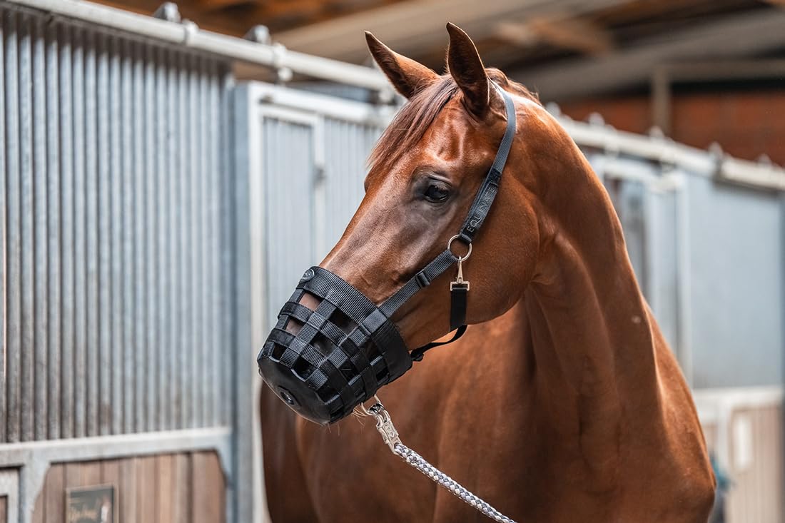 Equinate Fressbremse Grazeguard mit Polsterband Cob/Vollblut | Stufenlos Verstellbarer & ergonomischer Maulkorb für Pferde & Ponys | Reguliert die Futteraufnahme | Ideal für den täglichen Weidegang