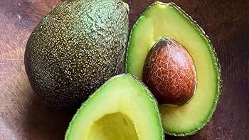 Amazon.com : Generic 9EzTropical - GEM Avocado - Grafted