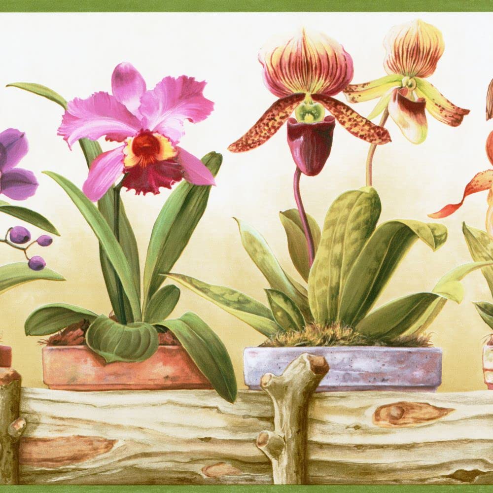 Bordure papier peint orchidées pour cuisine de ferme et salon champêtre CP033111B