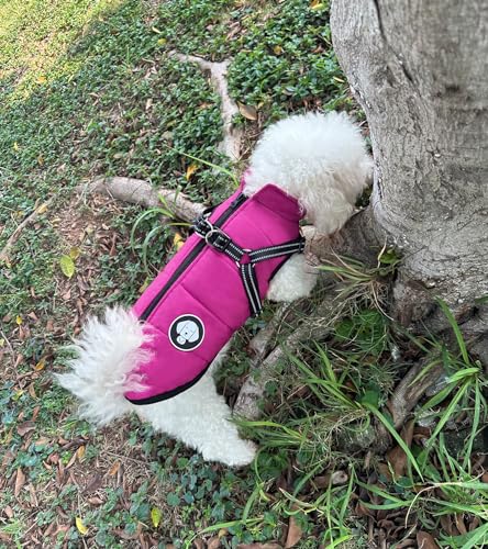 Hundejacke mit Geschirr, Wasserdichter Warmer Hund Wintermantel für Kleine Mittel GroÃŸe Hunde, Hundemantel für Labrador Chihuahua Französische Bulldogge