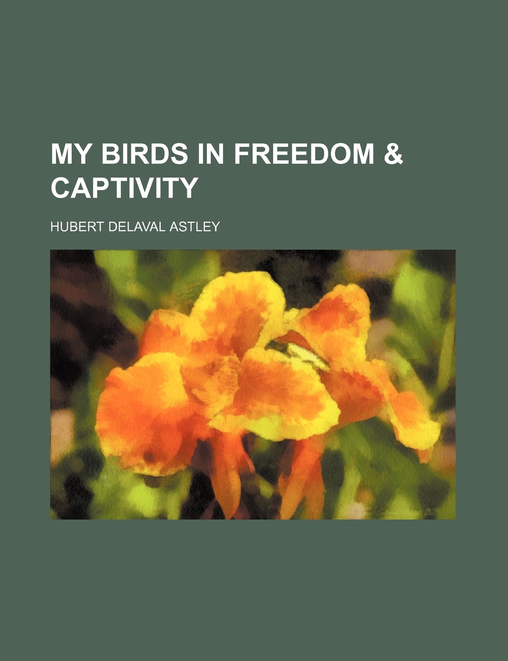 My Birds in Freedom & Captivity