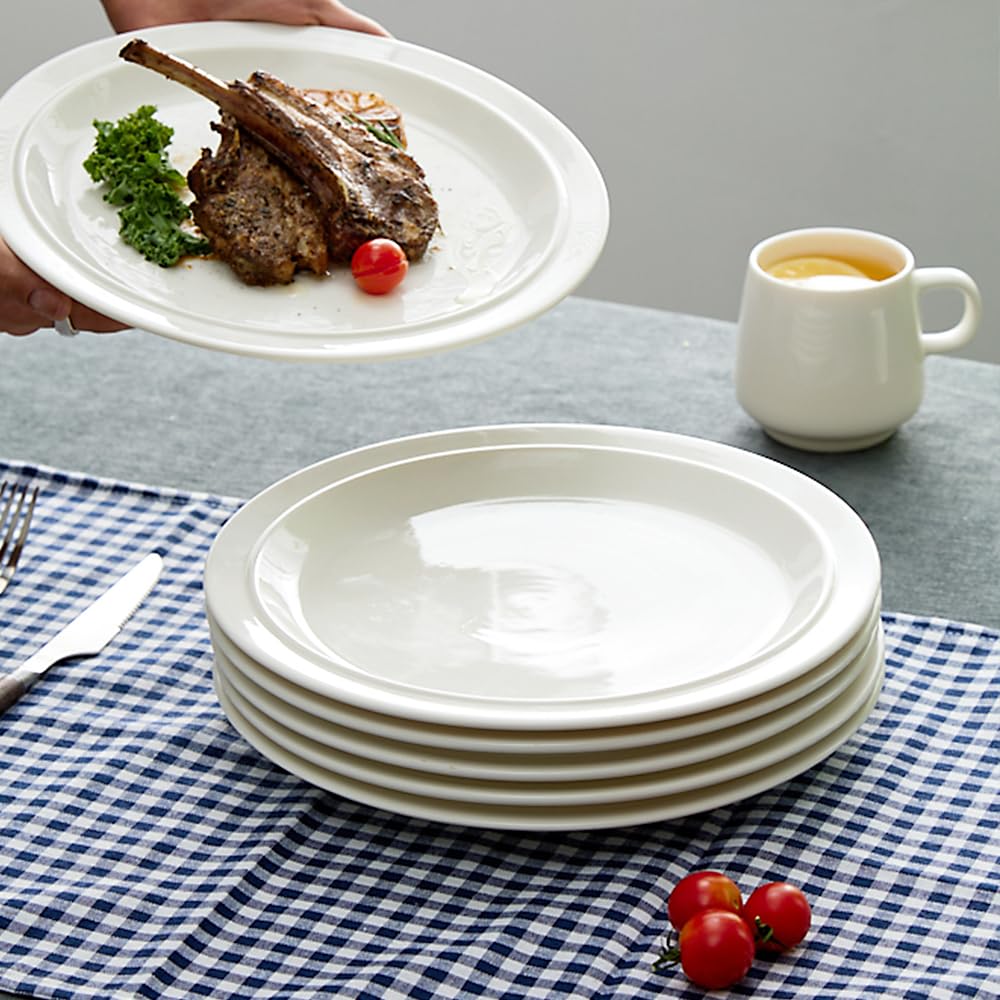 Amazon.com | 10.5-inch Porcelain Dinner Plate Set of 6 - Microwave