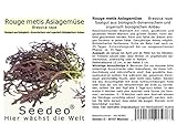 Seedeo® Rouge metis Asiagemüse (Brassica rapa) 500 Samen BIO
